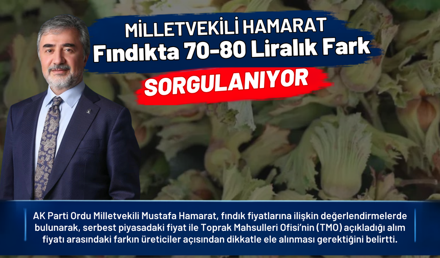 Milletvekili Hamarat: Fındıkta 70-80 Liralık Fark Sorgulanıyor