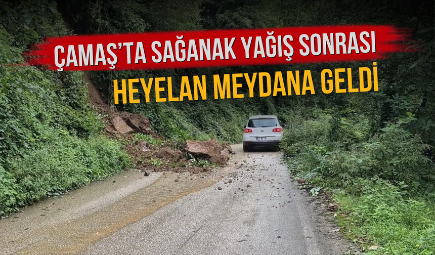 Çamaş’ta Sağanak Yağış Sonrası Heyelan Meydana Geldi