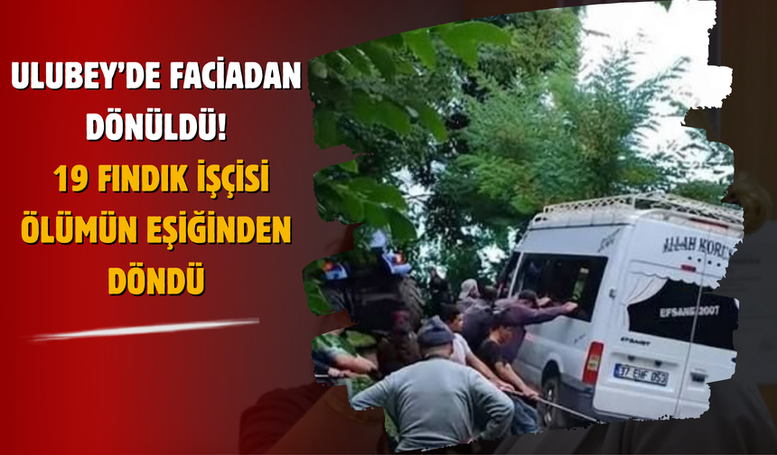 Ulubey’de Faciadan Dönüldü! 19 Fındık İşçisi Ölümün Eşiğinden Döndü