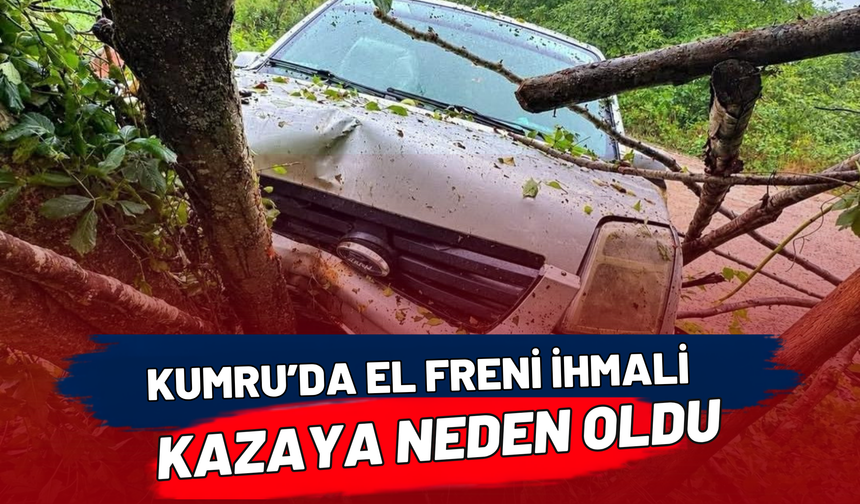Kumru’da El Freni İhmali Kazaya Neden Oldu
