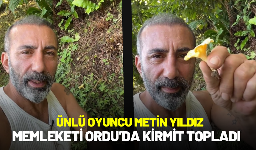 Ünlü Oyuncu Metin Yıldız, Memleketi Ordu’da Kirmit Topladı