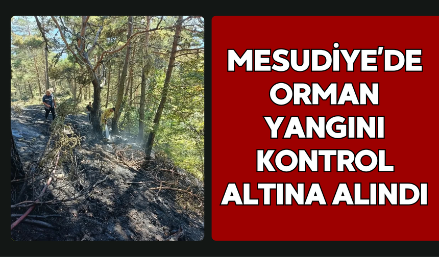 Mesudiye’de Orman Yangını Kontrol Altına Alındı