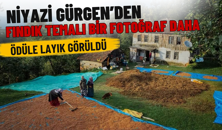 Niyazi Gürgen’den Fındık Temalı Bir Fotoğraf Daha Ödüle Layık Görüldü