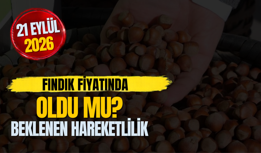 Fındık Fiyatında Beklenen Hareketlilik Oldu Mu?