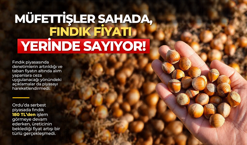 MÜFETTİŞLER SAHADA, FINDIK FİYATI YERİNDE SAYIYOR!