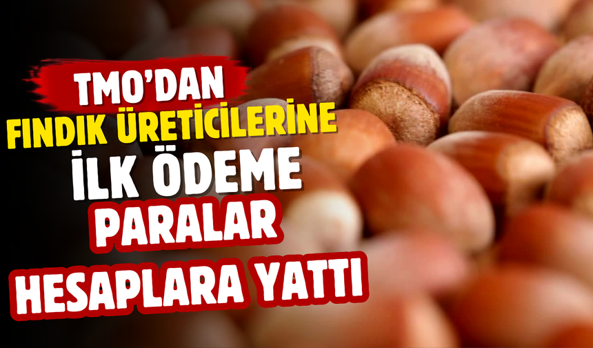 TMO’dan Fındık Üreticilerine İlk Ödeme: Paralar Hesaplara Yattı