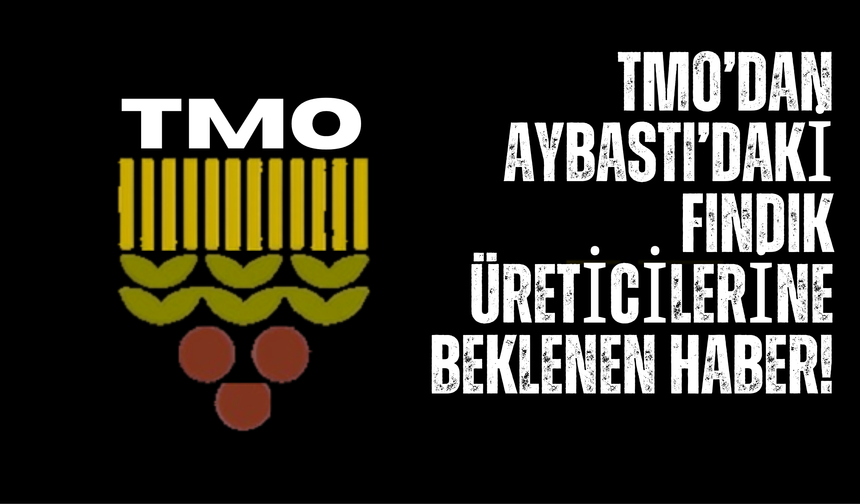 TMO’dan Aybastı’daki Fındık Üreticilerine Beklenen Haber!