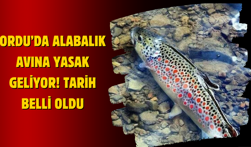 Ordu’da Alabalık Avına Yasak Geliyor! Tarih Belli Oldu