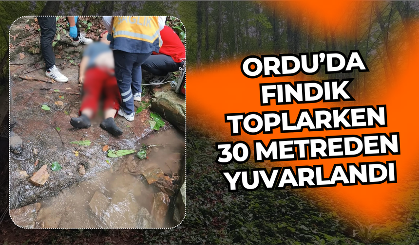 Ordu’da Fındık Toplarken 30 Metreden Yuvarlandı