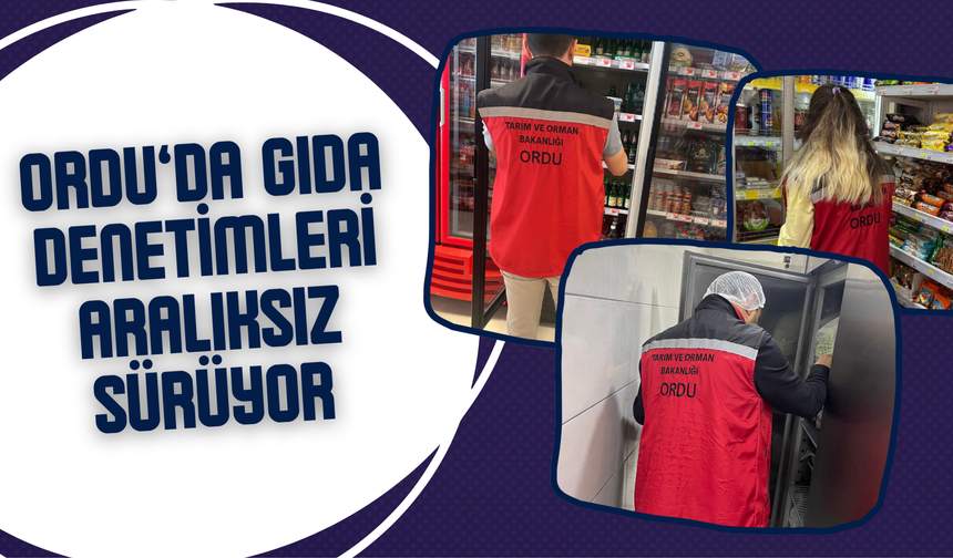 Ordu’da Gıda Denetimleri Aralıksız Sürüyor