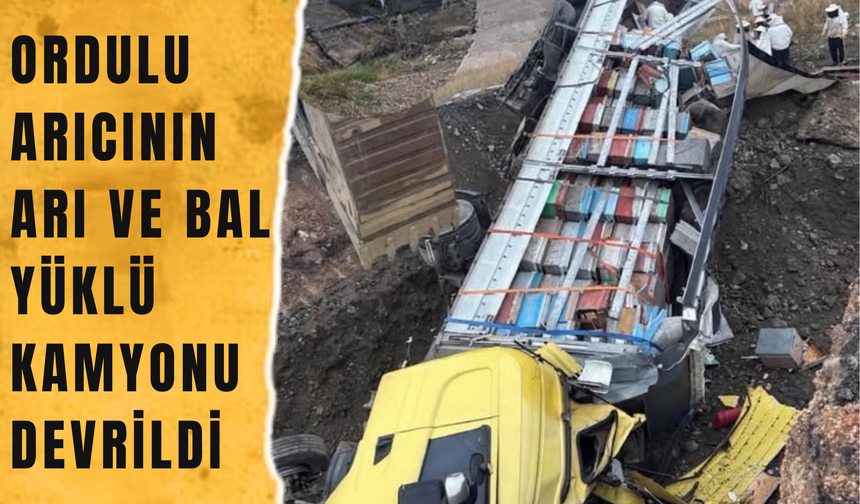 ORDULU ARICININ ARI VE BAL YÜKLÜ KAMYONU DEVRİLDİ