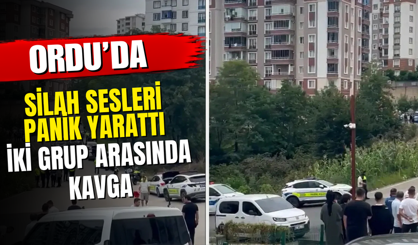 Ordu’da Silah Sesleri Panik Yarattı: İki Grup Arasında Kavga