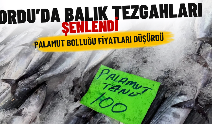 Ordu’da Balık Tezgahları Şenlendi: Palamut Bolluğu Fiyatları Düşürdü