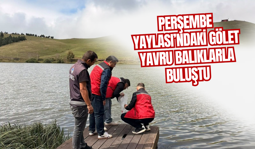 Perşembe Yaylası’ndaki Gölet Yavru Balıklarla Buluştu