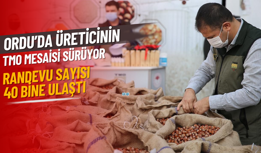 Ordu’da Üreticinin TMO Mesaisi Sürüyor: Randevu Sayısı 40 Bine Ulaştı