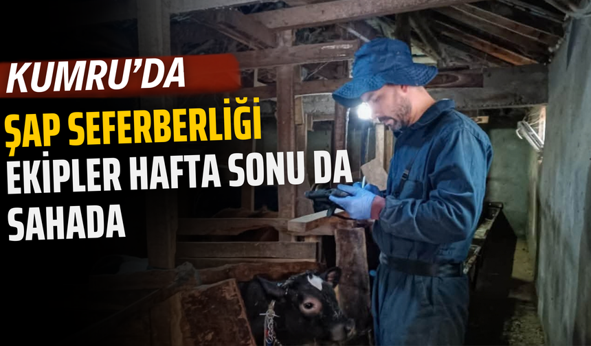 Kumru’da Şap Seferberliği: Ekipler Hafta Sonu da Sahada