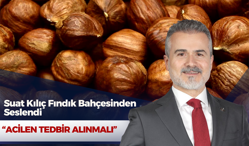 Suat Kılıç Fındık Bahçesinden Seslendi: “Acilen Tedbir Alınmalı”