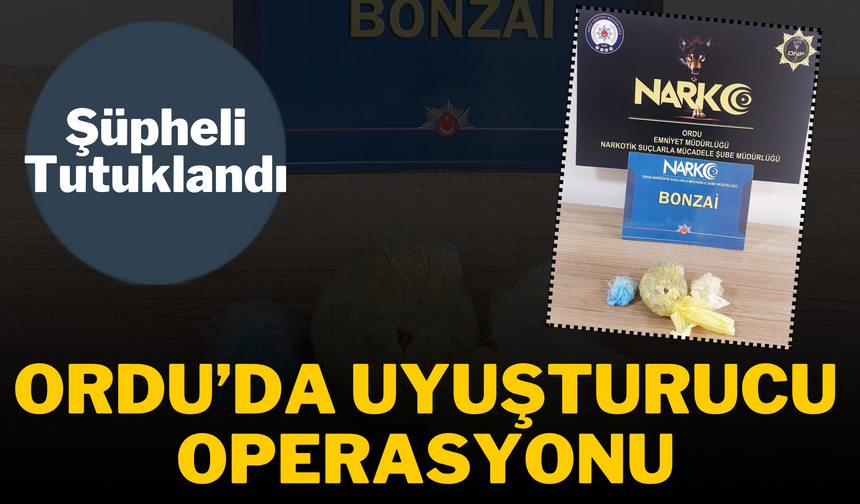 Ordu’da Uyuşturucu Operasyonu: Şüpheli Tutuklandı