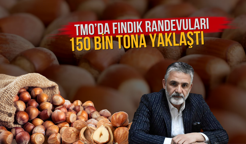 TMO’DA FINDIK RANDEVULARI 150 BİN TONA YAKLAŞTI