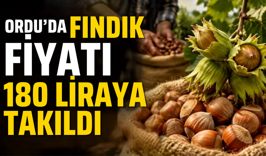 Ordu’da fındık fiyatı 180 liraya takıldı