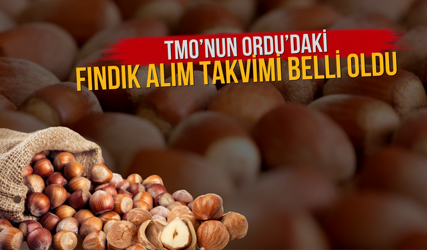 TMO’nun Ordu’daki Fındık Alım Takvimi Belli Oldu