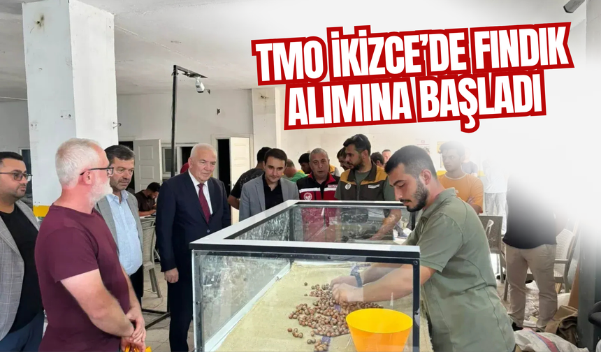 TMO İkizce’de Fındık Alımına Başladı