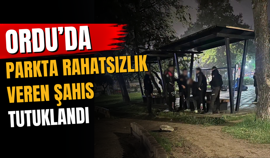 Ordu’da, Parkta Rahatsızlık Veren Şahıs Tutuklandı