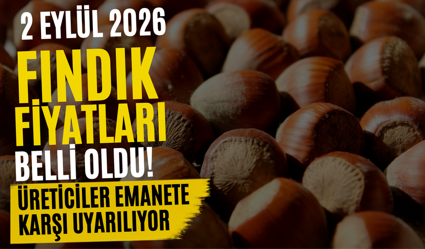 Ordu’da 2 Eylül 2026 Fındık Fiyatları?