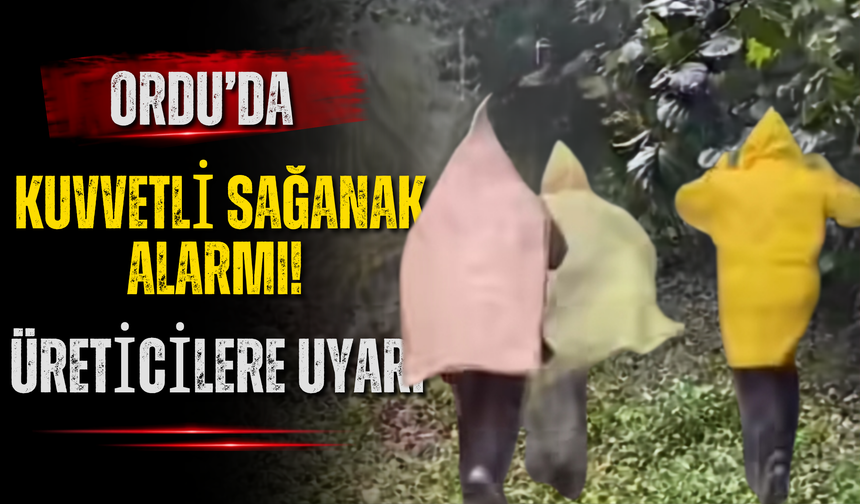 Ordu’da Kuvvetli Sağanak Alarmı! Üreticilere Uyarı