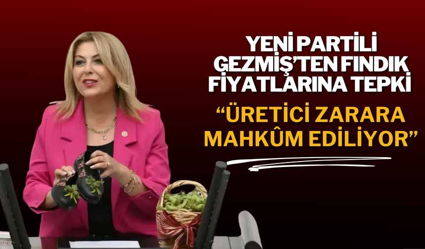 YENİ PARTİLİ GEZMİŞ’TEN FINDIK FİYATLARINA TEPKİ: “ÜRETİCİ ZARARA MAHKÛM EDİLİYOR”