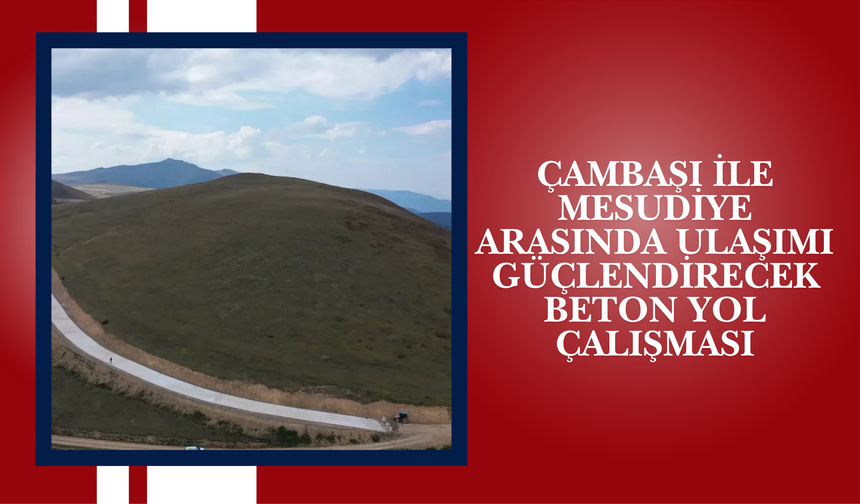 Çambaşı ile Mesudiye Arasında Ulaşımı Güçlendirecek Beton Yol Çalışması