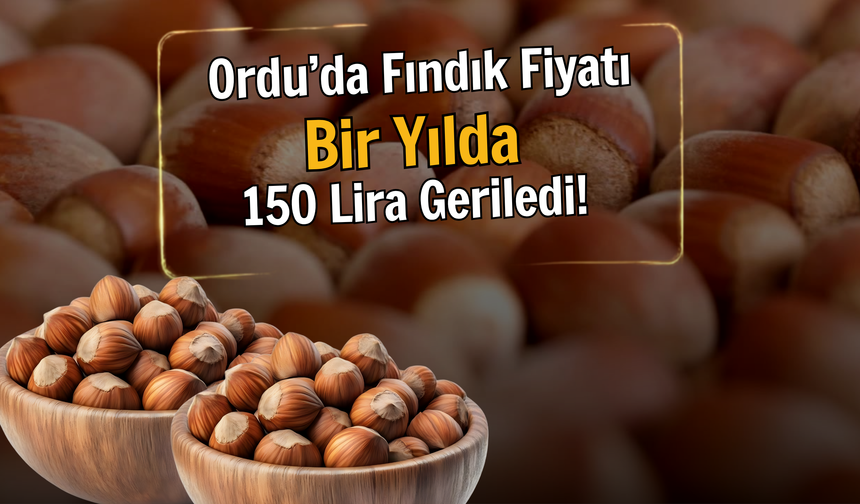 Ordu’da Fındık Fiyatı Bir Yılda 150 Lira Geriledi!