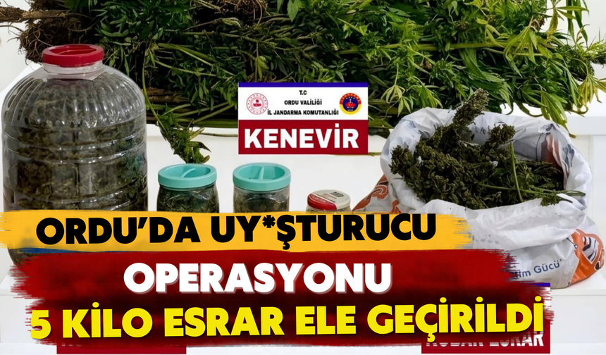 Ordu’da Uy*şturucu Operasyonu: 5 Kilo Esrar Ele Geçirildi