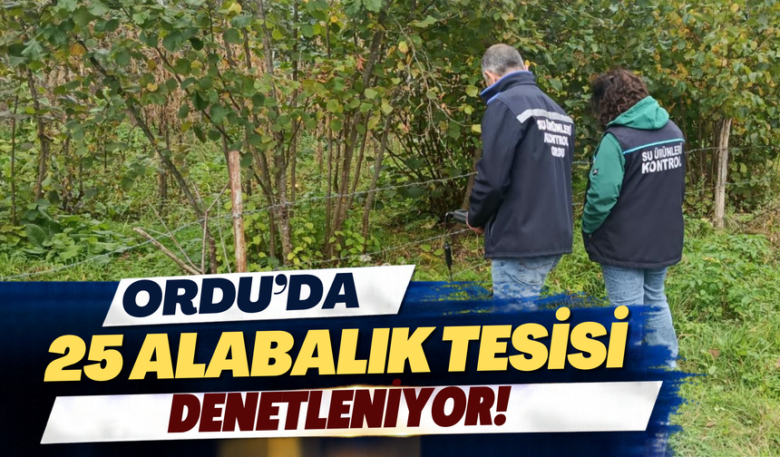 Ordu’da 25 Alabalık Tesisi Denetleniyor! Gürgentepe’de Yeni Yatırım Gündemde