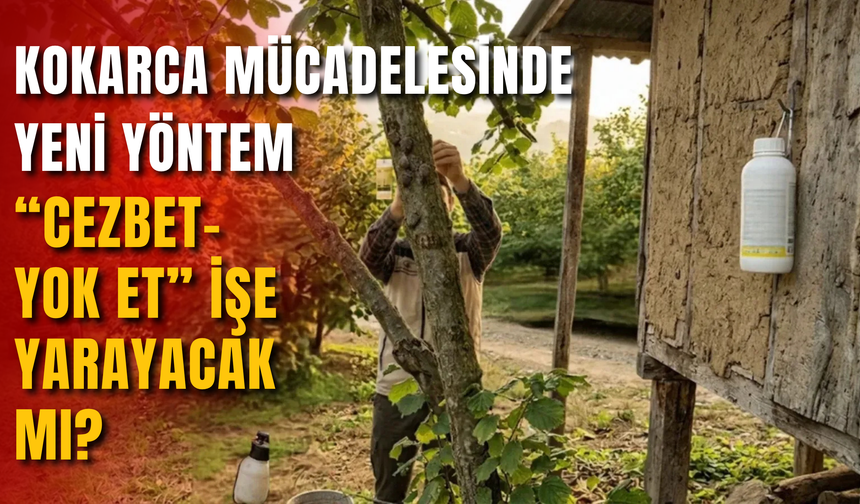 Kokarca Mücadelesinde Yeni Yöntem: “Cezbet-Yok Et” İşe Yarayacak mı?