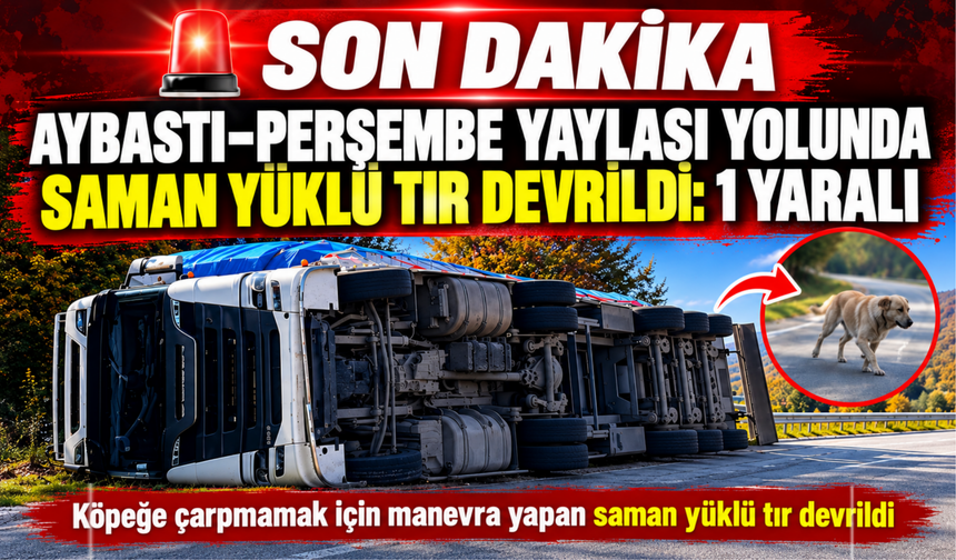 AYBASTI–PERŞEMBE YAYLASI YOLUNDA SAMAN YÜKLÜ TIR DEVRİLDİ: 1 YARALI