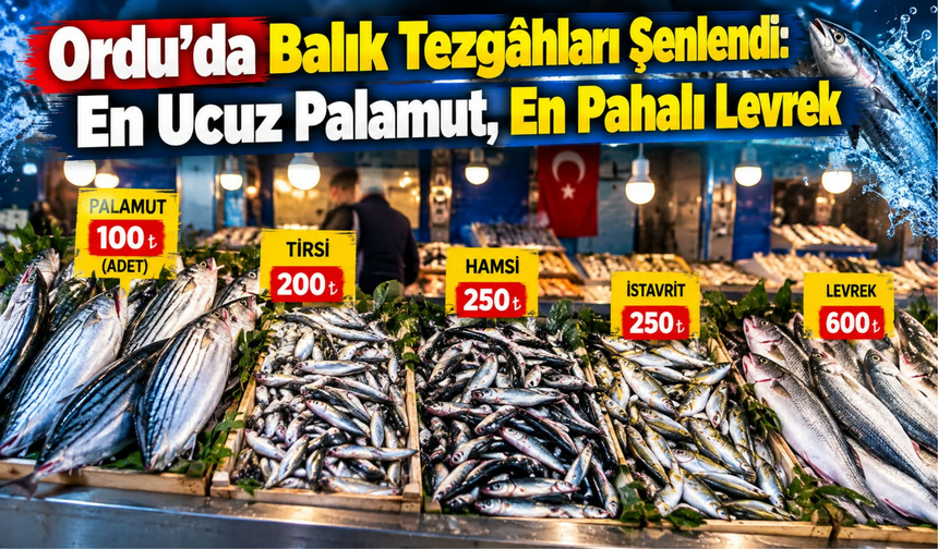 Ordu’da Balık Tezgâhları Şenlendi: En Ucuz Palamut, En Pahalı Levrek