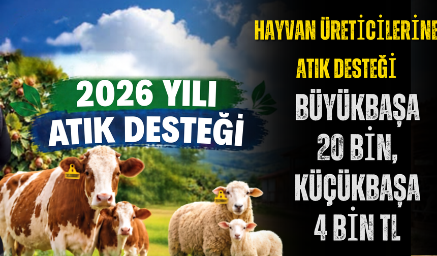 Hayvan Üreticilerine Atık Desteği: Büyükbaşa 20 Bin, Küçükbaşa 4 Bin TL
