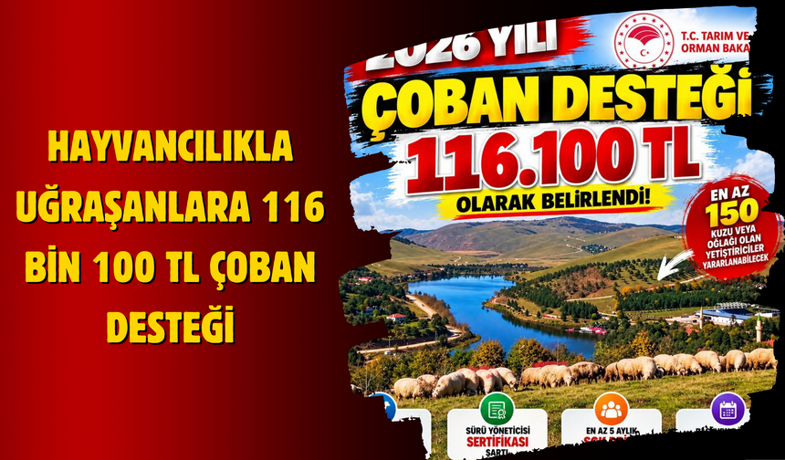 Hayvancılıkla Uğraşanlara 116 Bin 100 TL Çoban Desteği