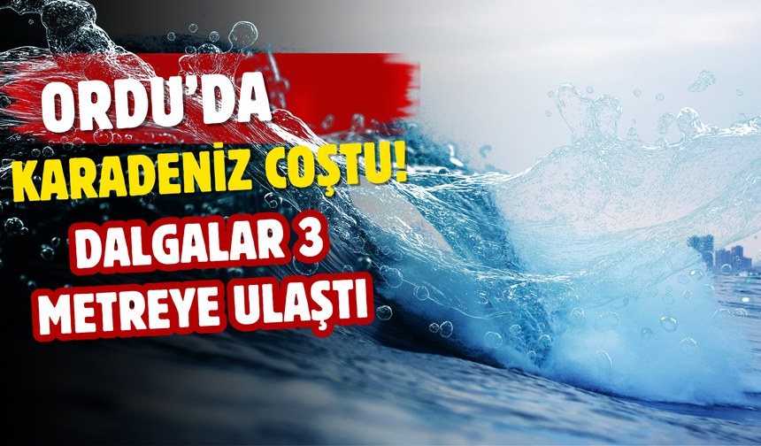 Ordu’da Karadeniz Coştu! Dalgalar 3 Metreye Ulaştı