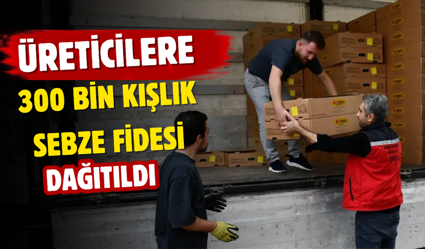 Üreticilere 300 Bin Kışlık Sebze Fidesi Dağıtıldı