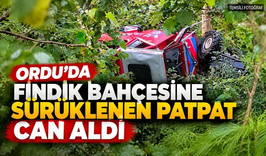 Ordu' da Fındık Bahçesine Sürüklenen Patpat Can Aldı