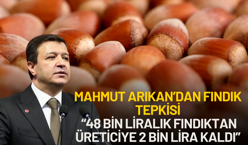 Mahmut Arıkan’dan Fındık Tepkisi: “48 Bin Liralık Fındıktan Üreticiye 2 Bin Lira Kaldı”