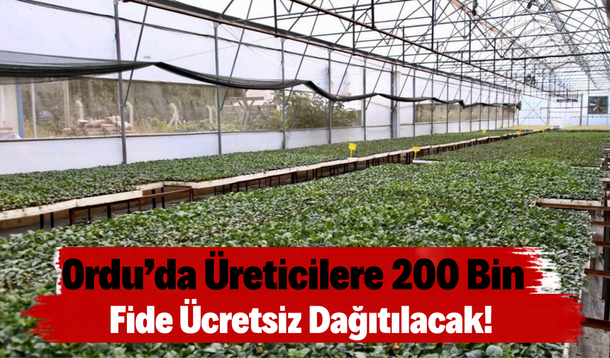 Ordu’da Üreticilere 200 Bin Fide Ücretsiz Dağıtılacak!
