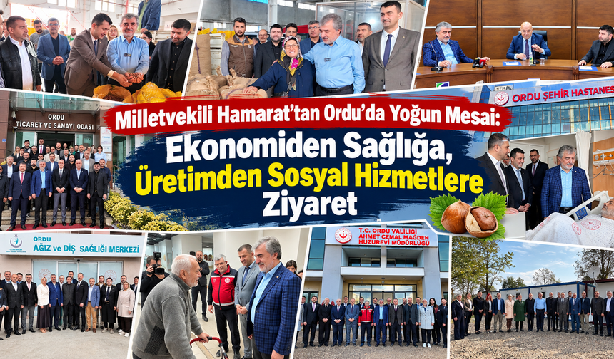 Milletvekili Hamarat’tan Ordu’da Yoğun Mesai: Ekonomiden Sağlığa, Üretimden Sosyal Hizmetlere Ziyaret