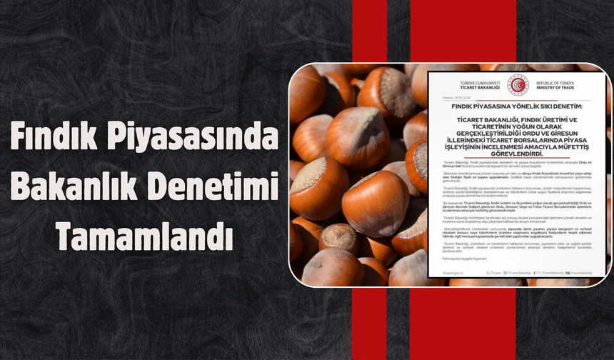 Fındık Piyasasında Bakanlık Denetimi Tamamlandı