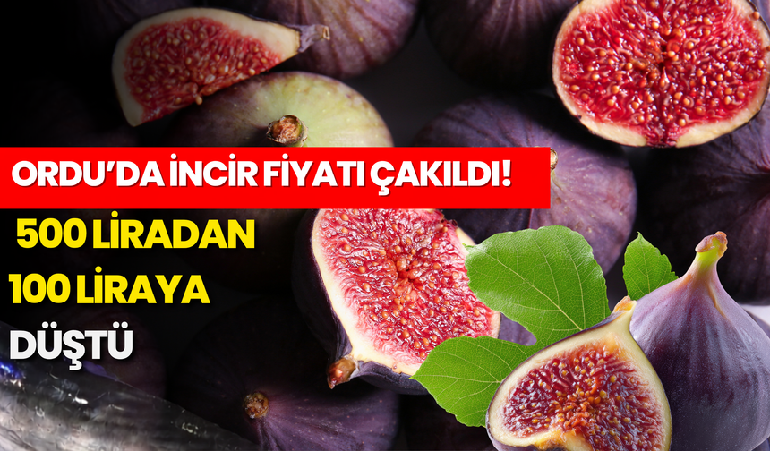 Ordu’da İncir Fiyatı Çakıldı! 500 Liradan 100 Liraya Düştü