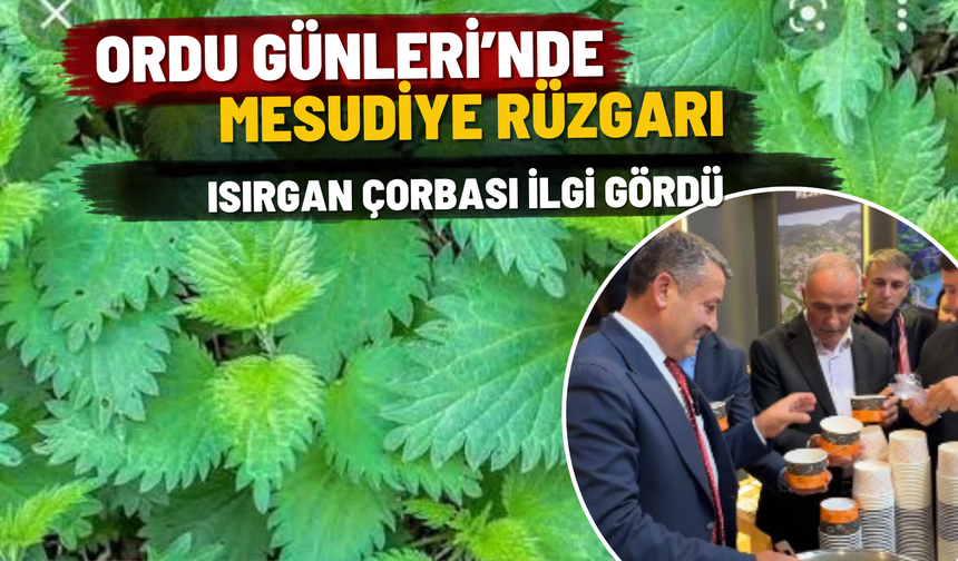 Ordu Günleri’nde Mesudiye Rüzgarı: Isırgan Çorbası İlgi Gördü