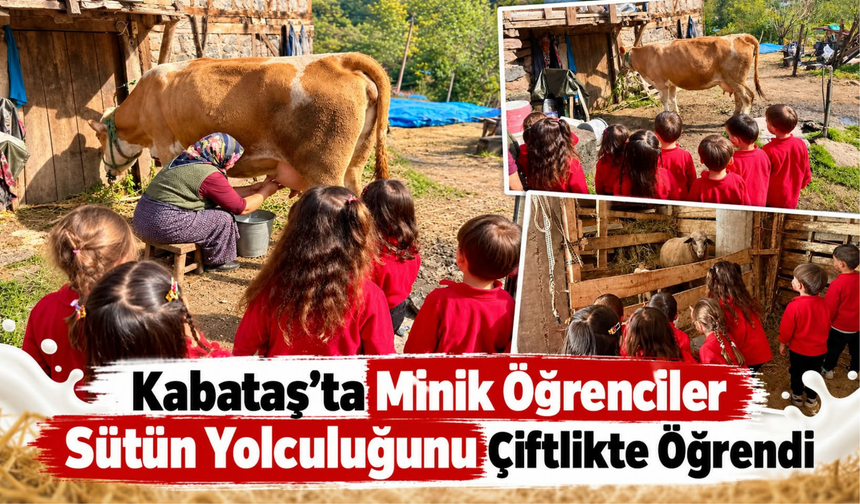 Kabataş’ta Minik Öğrenciler Sütün Yolculuğunu Çiftlikte Öğrendi