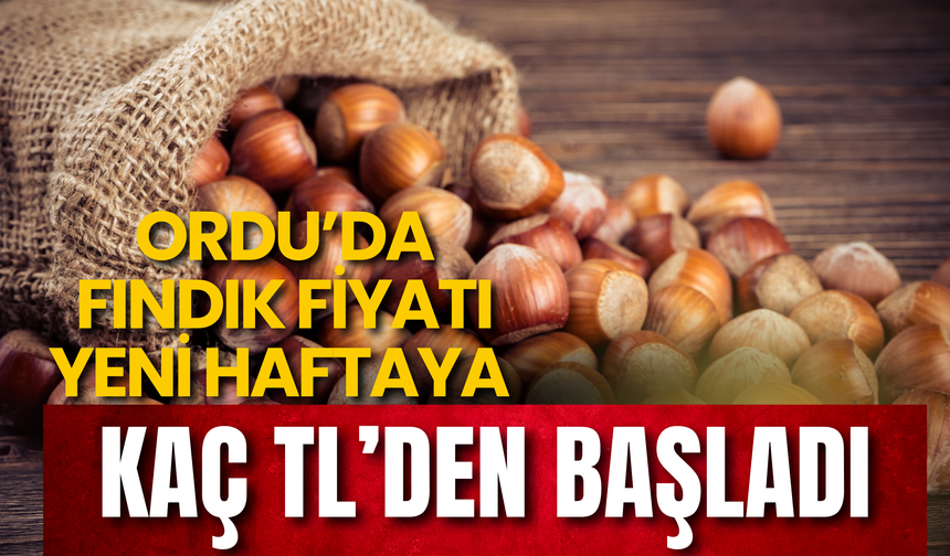 Ordu’da Fındık Fiyatı Yeni Haftaya Kaç TL’den Başladı